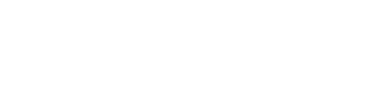 Shopify Rebellion